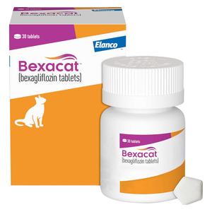Bexacat for Cats Elanco Animal Health